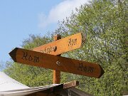 IMG_4597