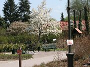 IMG_4616