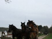 IMG_4118