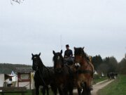 IMG_4120