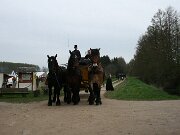 IMG_4122