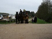 IMG_4124