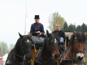 IMG_4126