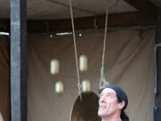 IMG_9554