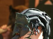 IMG_7790