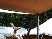 20170708_130639