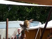 20170708_130804