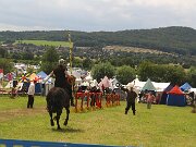 IMG_8376