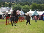 IMG_8377