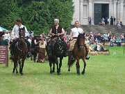 IMG_8384