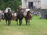 IMG_8385