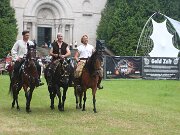 IMG_8388