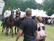 IMG_8390