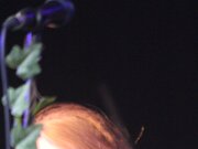 IMG_9422