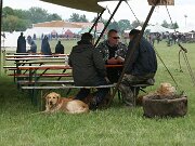 IMG_6431
