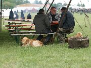 IMG_6432