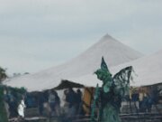 IMG_6434