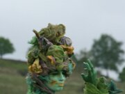 IMG_6448