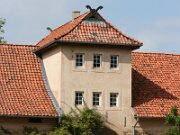 IMG_1320