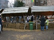 IMG_4081