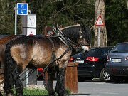 IMG_4964