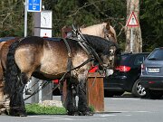 IMG_4965