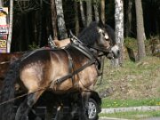 IMG_4967