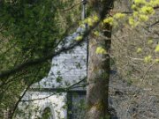 IMG_4973