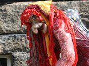 IMG_4979