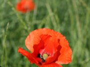 IMG_0073