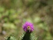 IMG_0588