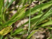 IMG_0597