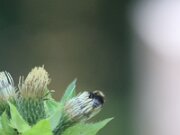 019