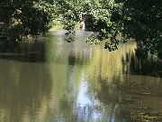 IMG_5555