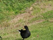 IMG_5557
