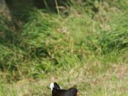 IMG_5558