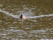 IMG_5560