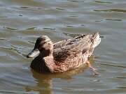 IMG_5562