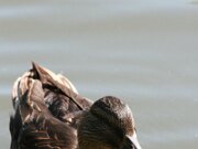 IMG_5563