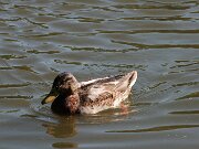 IMG_5565