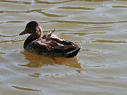 IMG_5566