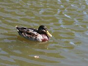 IMG_5567
