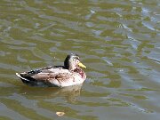 IMG_5568