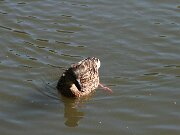 IMG_5569