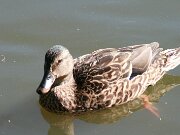 IMG_5570