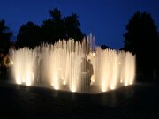 IMG_5651