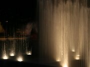 IMG_5652