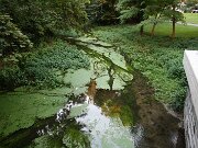 IMG_5702