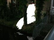 IMG_5708