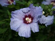 IMG_5712